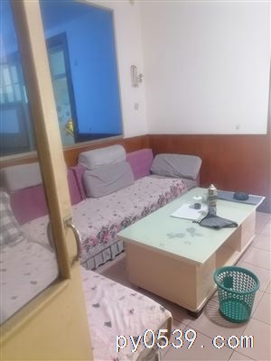 莲花山公园后面