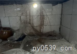 招打孔工人2人,出外工作